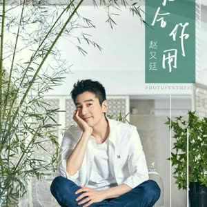赵又廷泡泡圈-赵又廷个人资料_电视剧粉丝-爱奇艺电影电视剧勇敢的心剧情简介图片